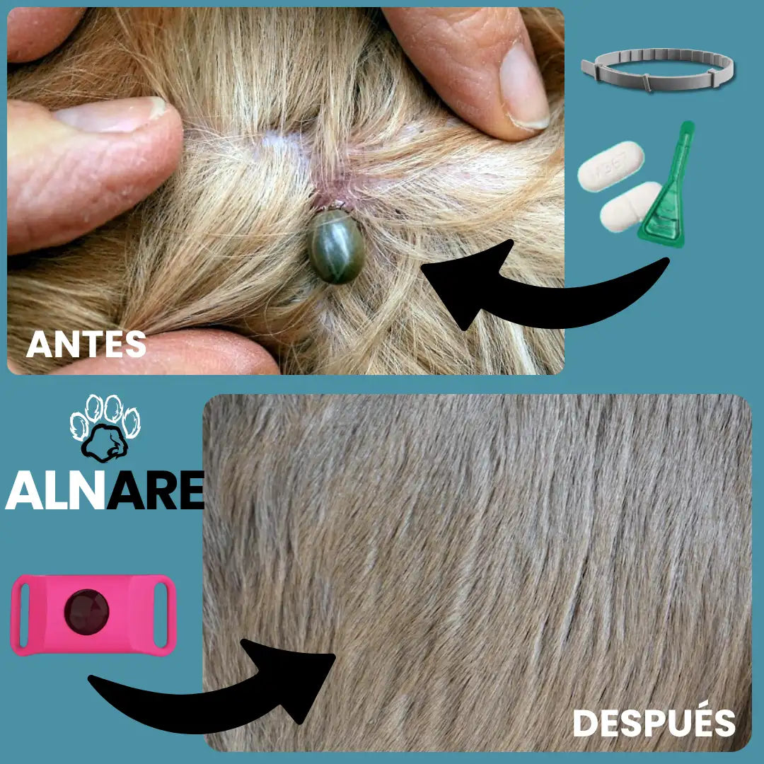 12 Meses Libre de Pulgas y Garrapatas