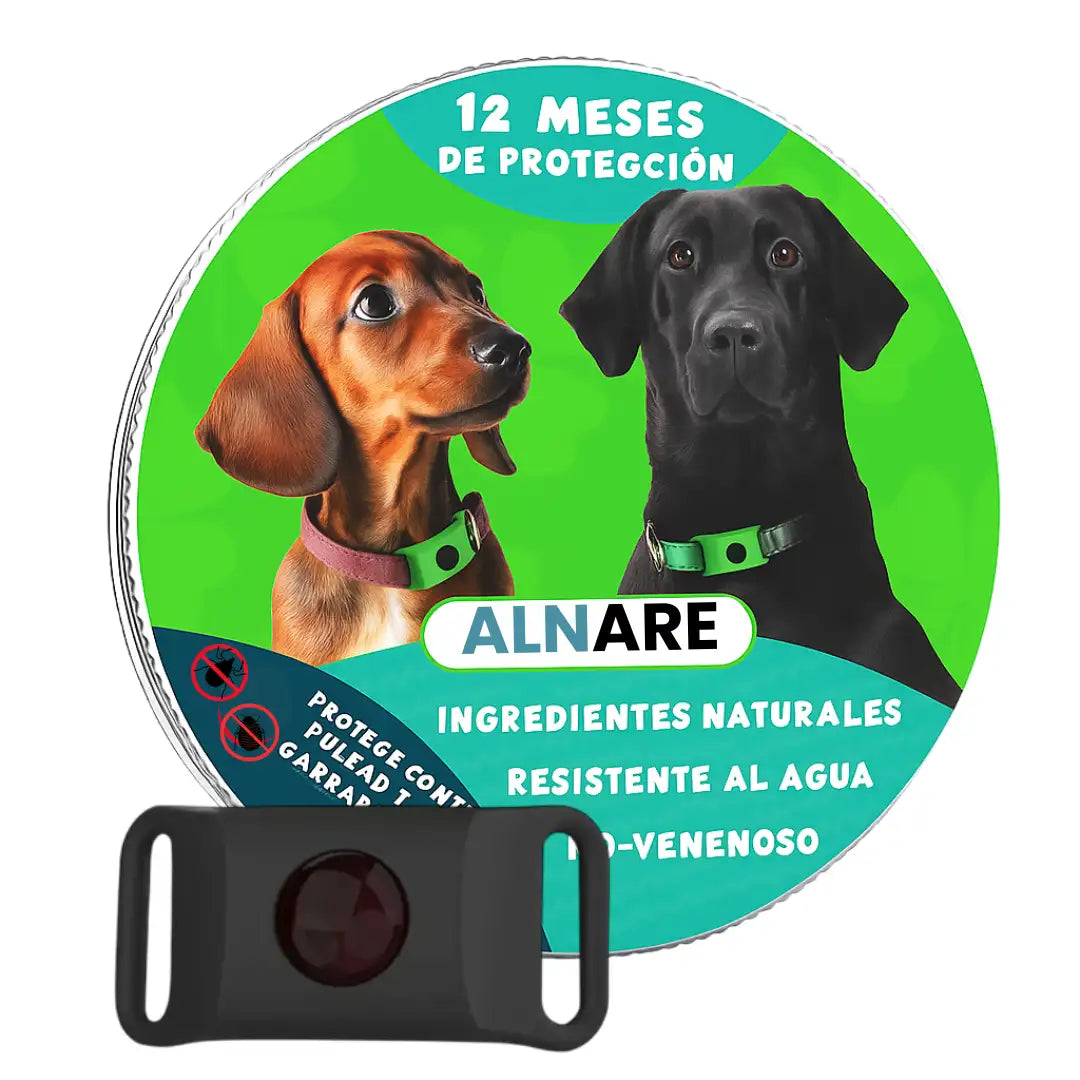 12 Meses Libre de Pulgas y Garrapatas