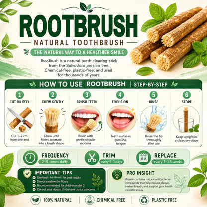 RootBrush Mint — Natural Miswak Toothbrush Stick