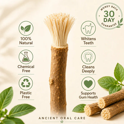 RootBrush Mint — Natural Miswak Toothbrush Stick