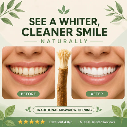 RootBrush Mint — Natural Miswak Toothbrush Stick