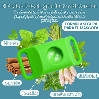 12 Meses Libre de Pulgas y Garrapatas