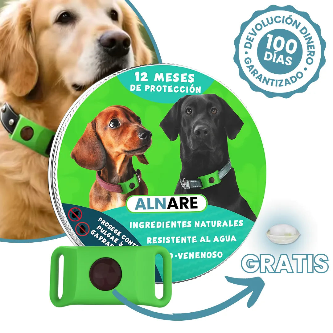 12 Meses Libre de Pulgas y Garrapatas